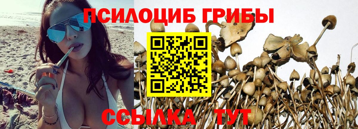 Галлюциногенные грибы Magic Shrooms Тамбов